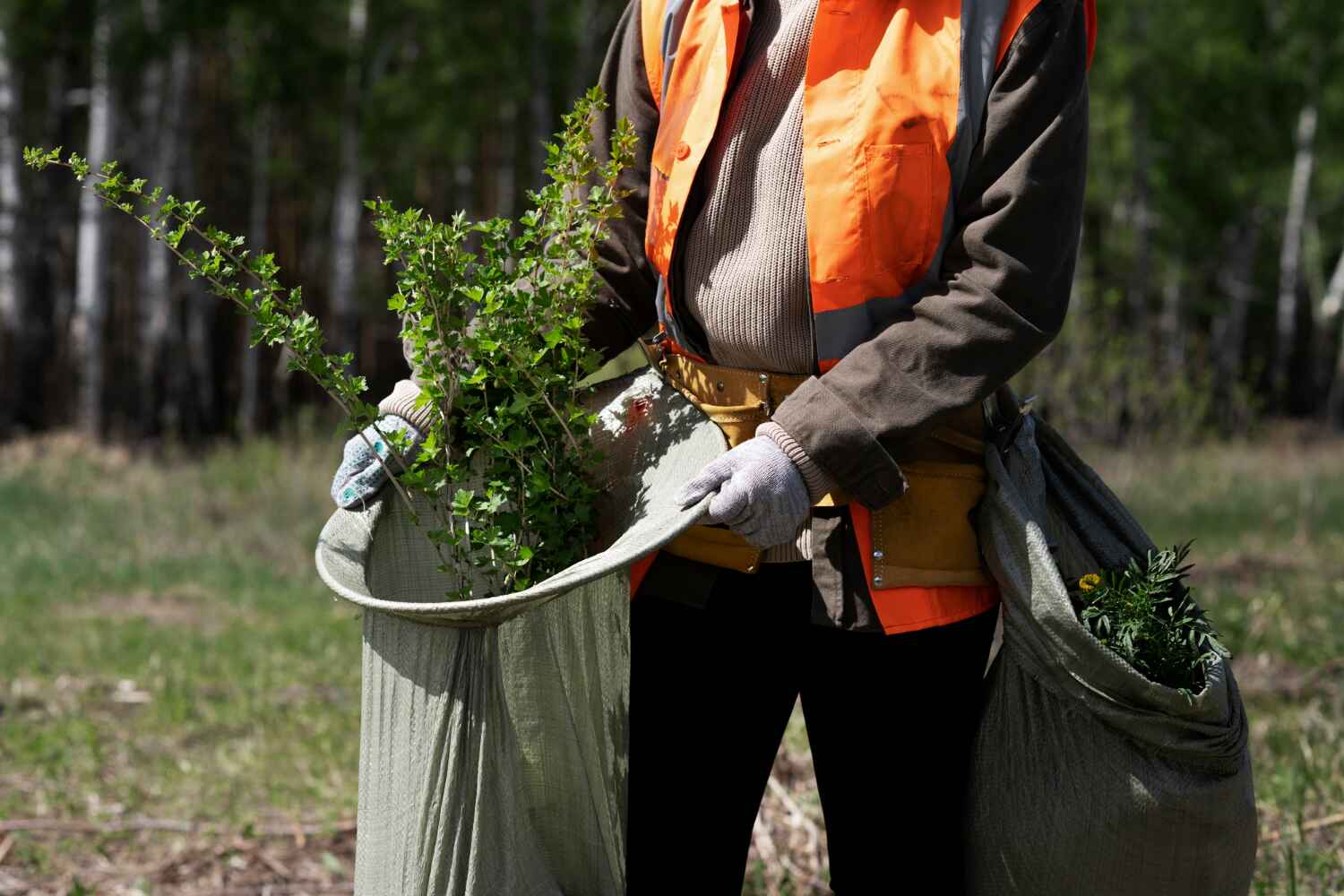 Best Emergency Storm Tree Removal  in USA